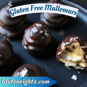 Gluten Free Mallomars