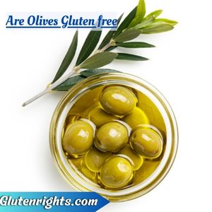 Are Olives Gluten free