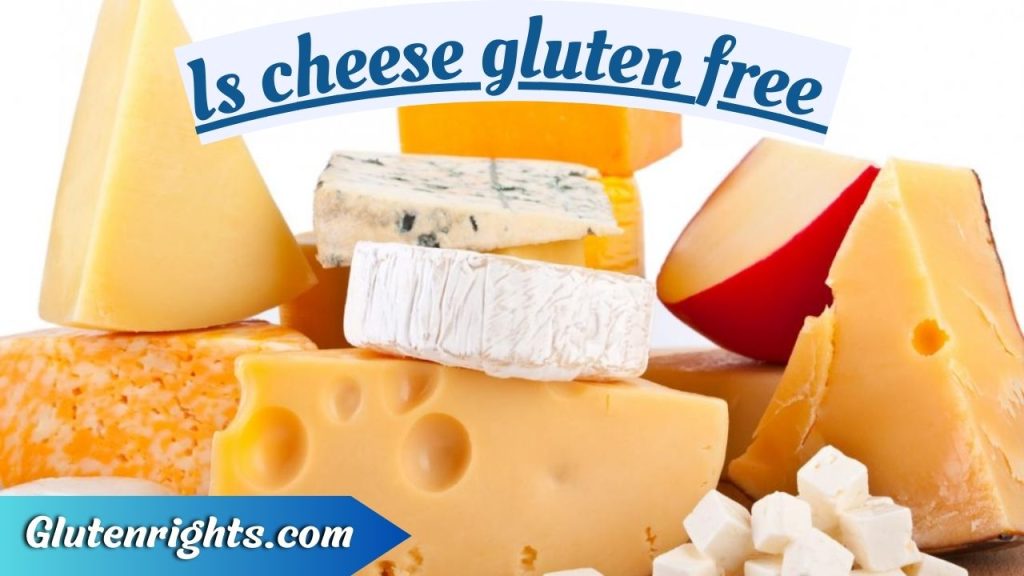 Is cheese gluten free 